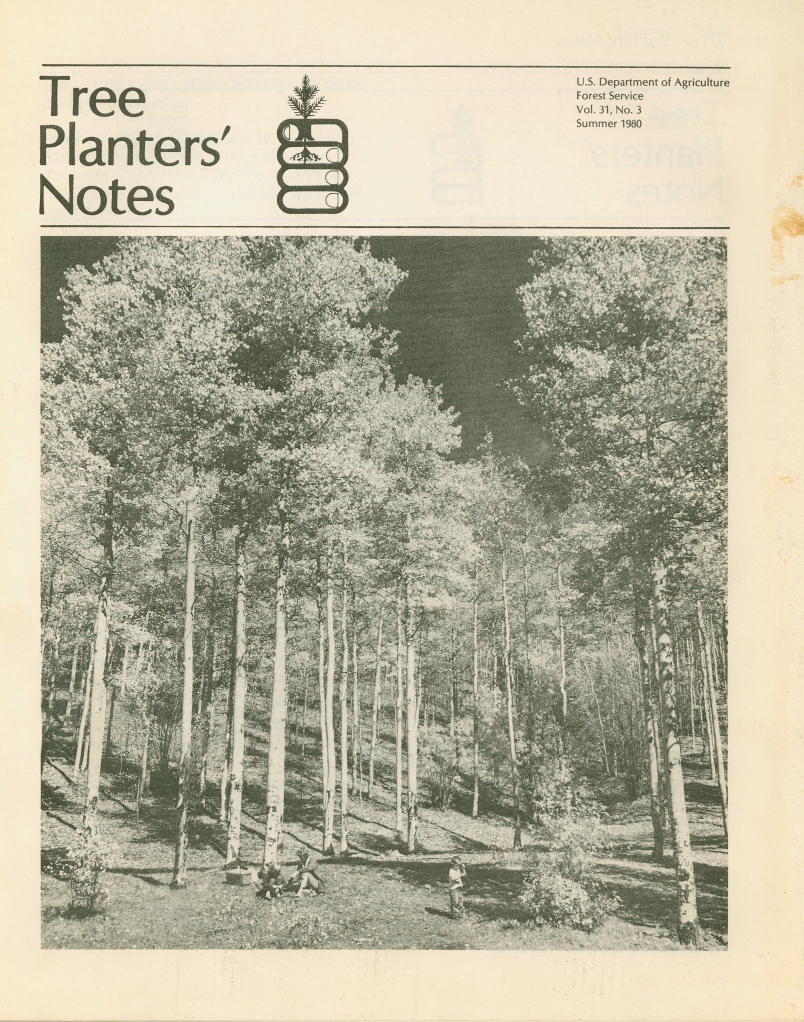 Cover Image - 31-3