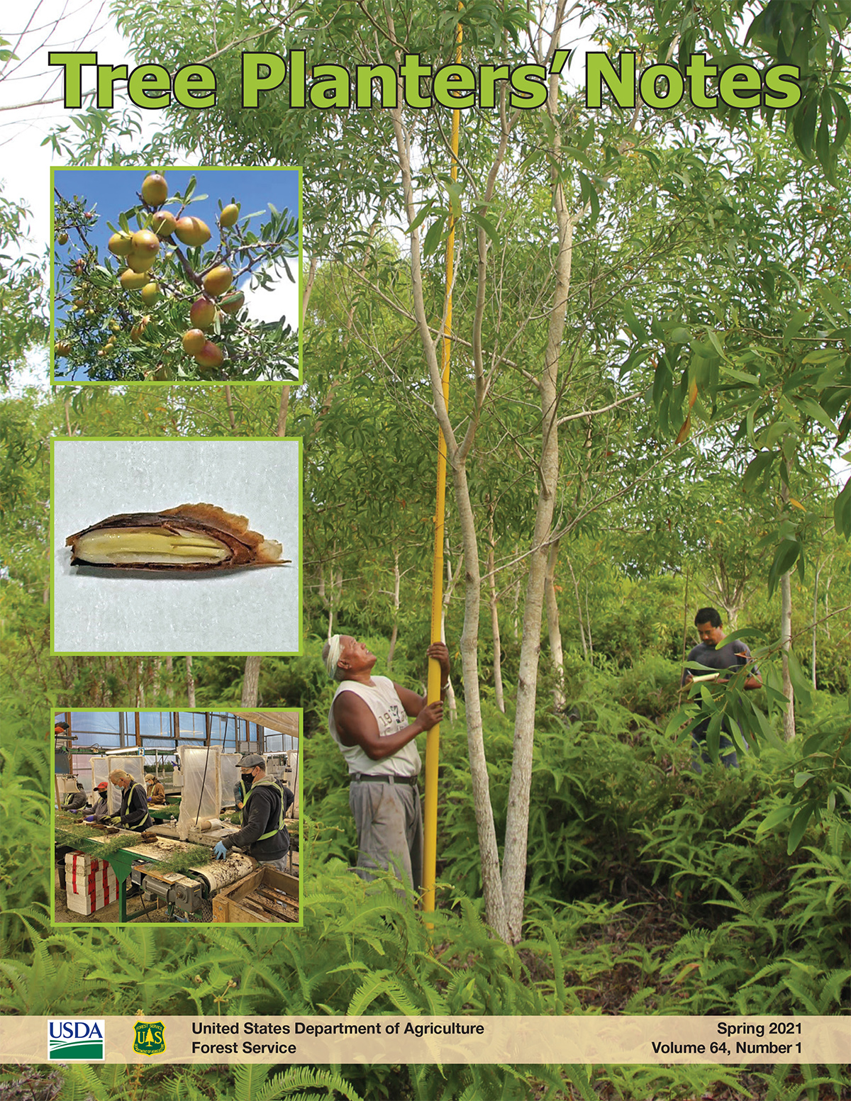 Tree Planters' Notes Volume 64, Number 1 (2021) — Reforestation ...